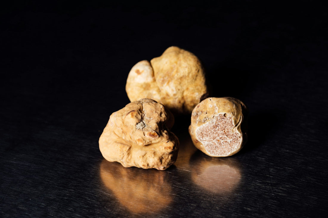 white truffle