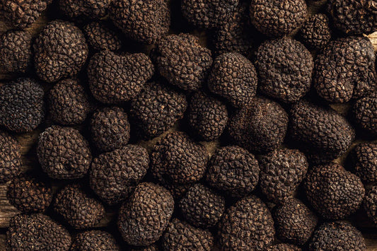 wholesale truffle